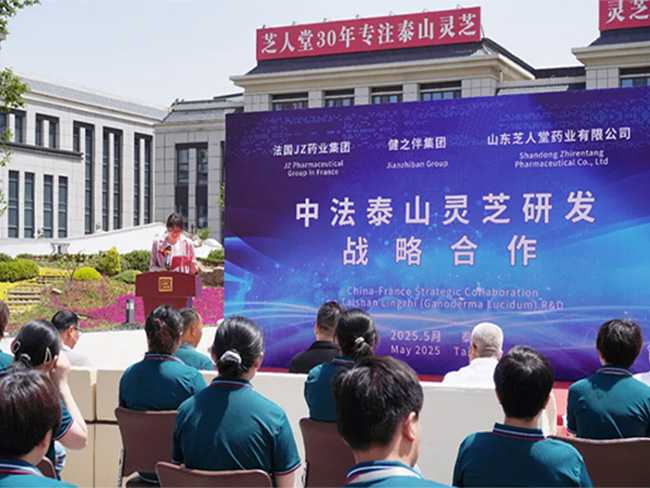 热烈祝贺中法泰山灵芝研发战略合作签约落地