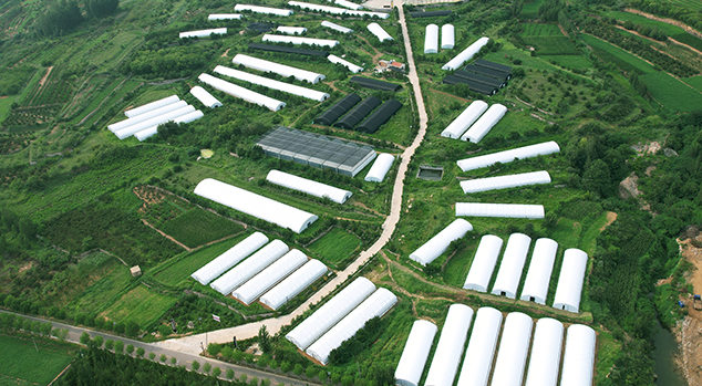 芝人堂泰山灵芝谷基地获评全省标准化道地药材生产基地