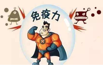 什么样的破壁灵芝孢子粉才能为增强免疫力助力