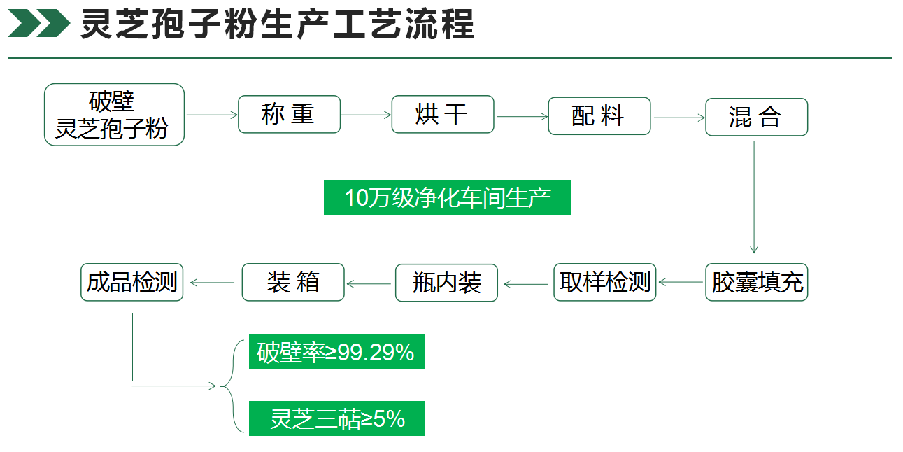 灵芝孢子粉,破壁灵芝孢子粉