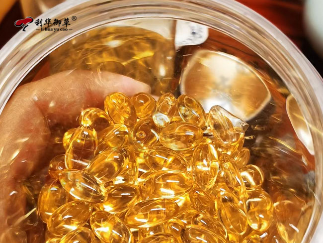 代工贴牌灵芝孢子粉和灵芝孢子油有什么不同