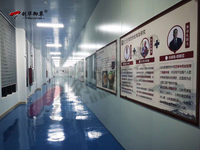 寻找灵芝生产服务商为什么要看全产业链实力