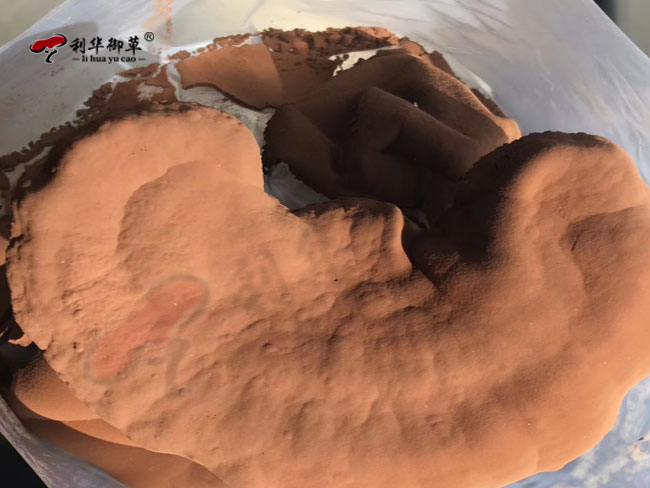 灵芝孢子粉破壁和破