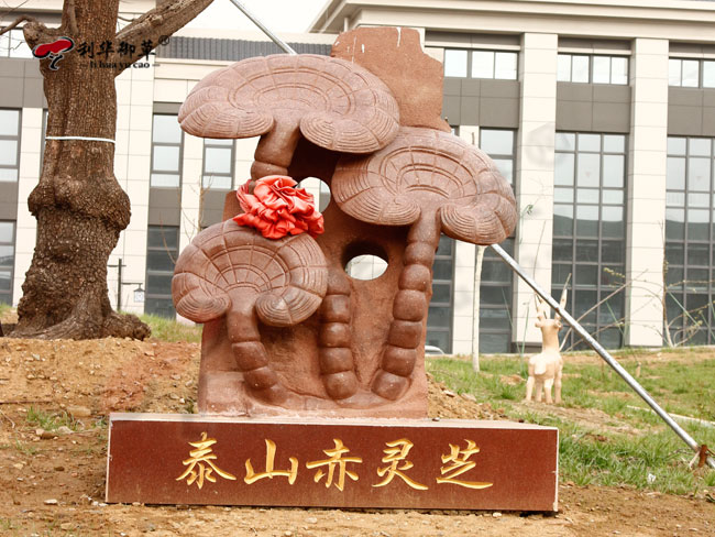 利华御草品牌拥有31年历史