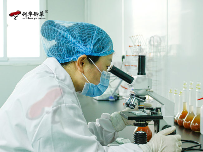 哪些灵芝孢子油的生产服务商灵芝三萜含量高
