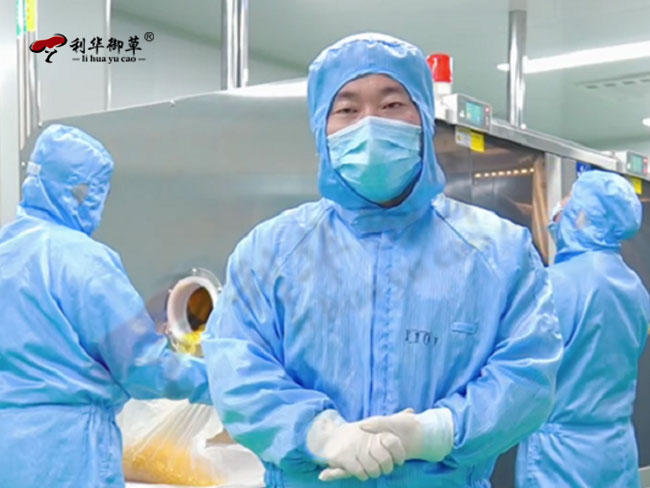 优质的灵芝产品为什么符合高三萜含量