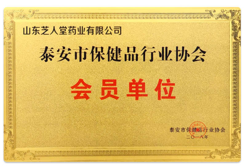 企业荣誉(图25)
