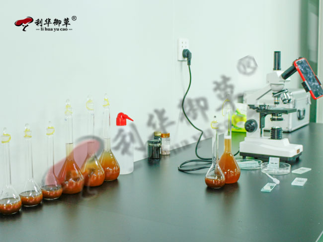 利华御草/灵芝代工贴牌/灵芝产业链共享