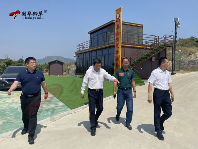 原泰安市委副书记曲锋一行莅临芝人堂泰山灵芝种植基地
