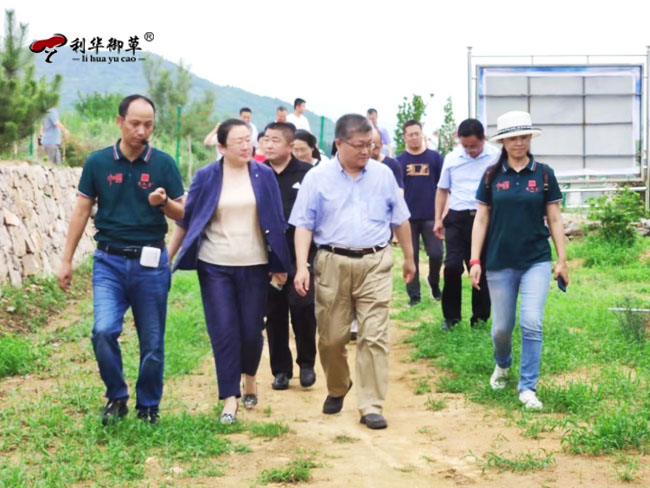 芝人堂泰山灵芝谷被授予省农科院科研示范基地