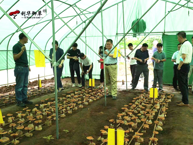芝人堂泰山灵芝谷被授予省农科院科研示范基地