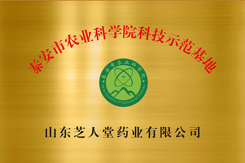 企业荣誉(图4)