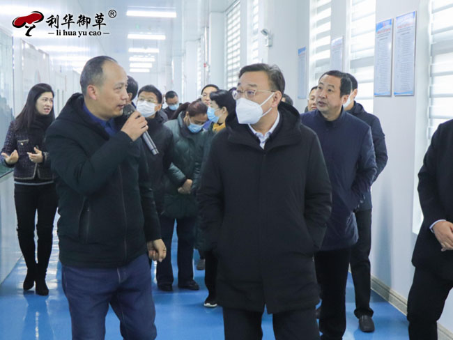 泰安市副市长马保文一行领导莅临芝人堂观摩乡村振兴示范区创建成效
