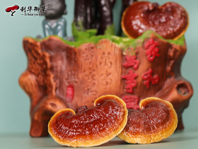 灵芝代工,灵芝加盟,灵芝招商,灵芝产品代工,灵芝