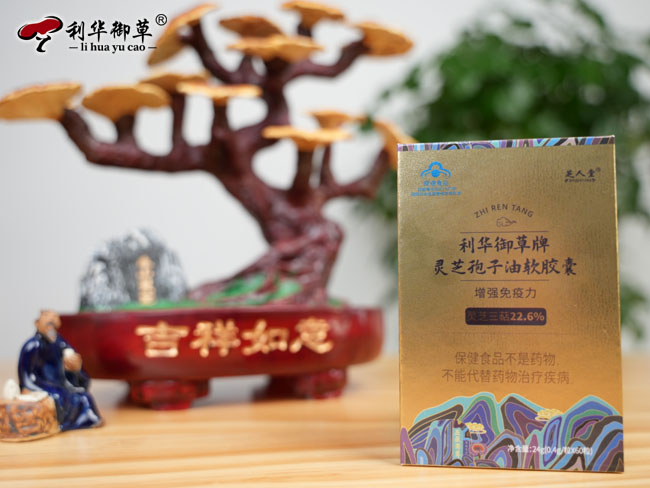 没蓝帽批号可以加盟灵芝孢子油吗