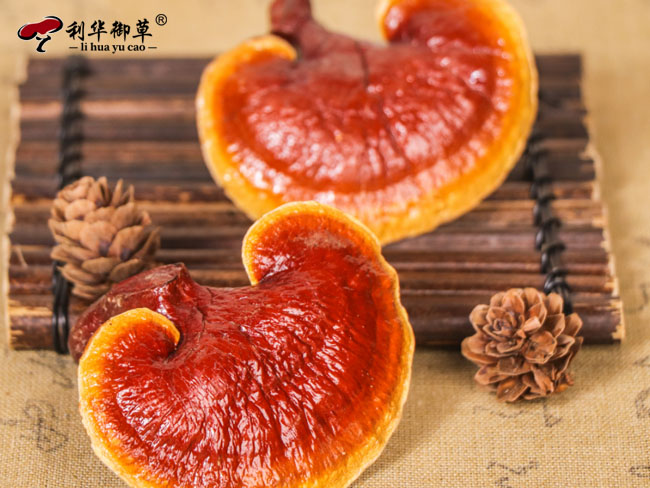 江北地区哪个灵芝代工厂家生产规模强
