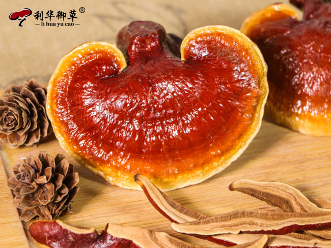 灵芝代工,灵芝加盟,灵芝招商,灵芝一件代发