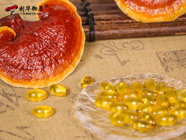 芝人堂代工灵芝孢子油日生产规模是多少,灵芝孢子油代工,芝人堂灵芝孢子油代工,灵芝孢子油日产量