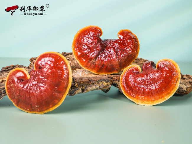 芝人堂不断磨练内功助力合作伙伴发展,芝人堂招商,芝人堂代工