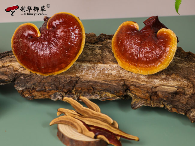 想找到靠谱的灵芝产品代工企业，需记住这四点