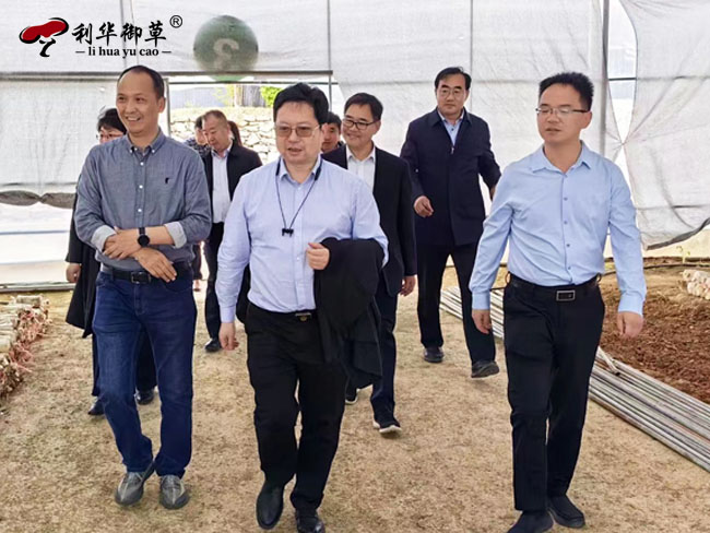 国家林业和草原改革发展司副司长王俊中,领导莅临芝人堂灵芝谷调研